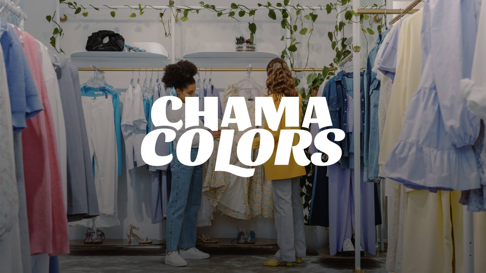 Branding Chama Colors